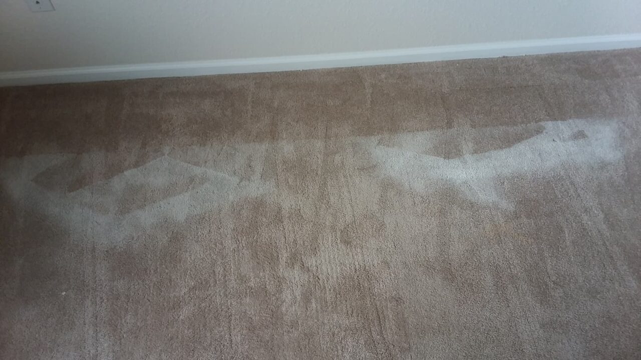 dirty carpet (before cleaning).